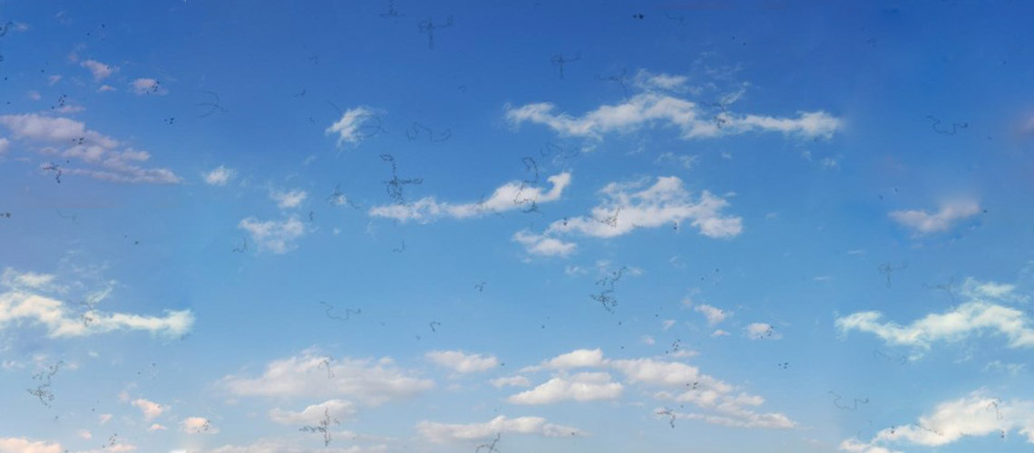 SPOTS BEFORE YOUR EYES