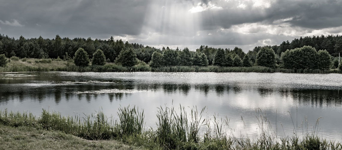 
			
“SEEING THE WORLD IN GREY”
			
		