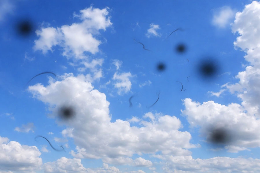 
			
WHEN YOUR EYES PUT ON A LIGHT SHOW
			
		